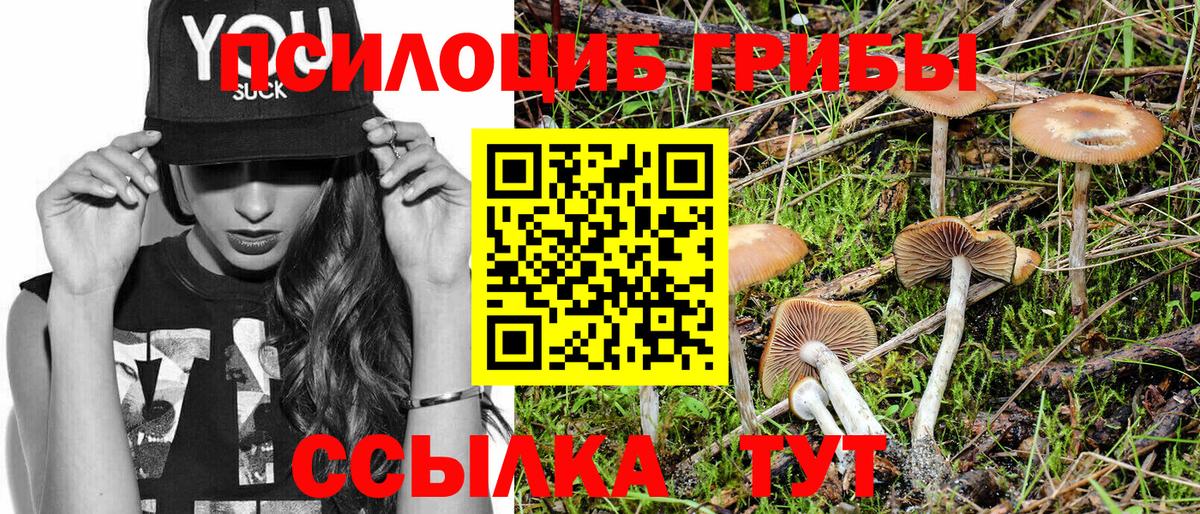 Псилоцибиновые грибы ЛСД Сальск