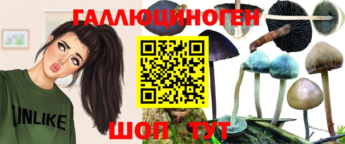 Галлюциногенные грибы мицелий  Псилоцибиновые грибы Cubensis  Вход с VPN  Сальск 