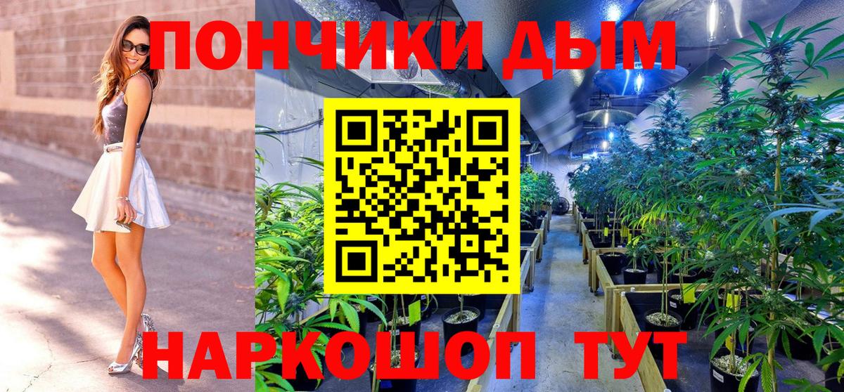 Бошки Шишки ГИДРОПОН  Вход с VPN  Сальск  Каннабис SATIVA & INDICA 